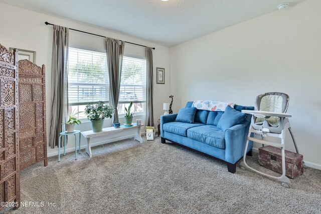 36 Grand Par Ct, Bunnell, FL 32110 - living room featuring carpet floors and baseboards