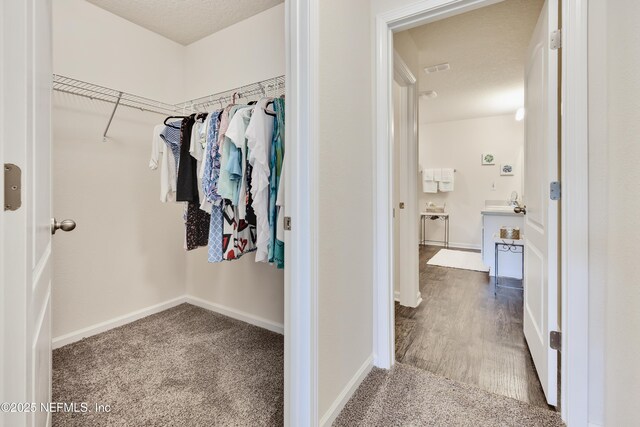36 Grand Par Ct, Bunnell, FL 32110 - walk in closet featuring carpet flooring