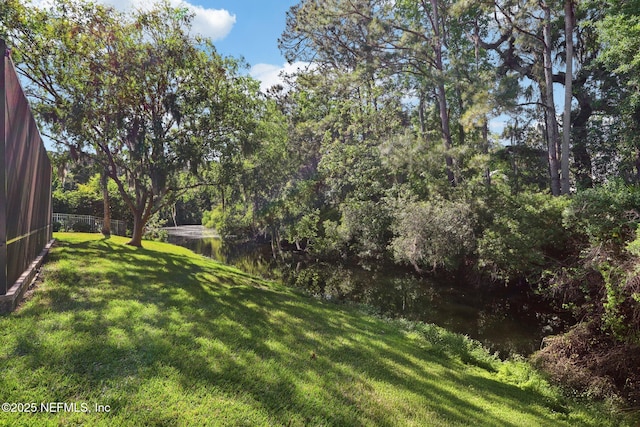 232 Shell Bluff Ct, Ponte Vedra Beach, FL 32082 - view of green lawn