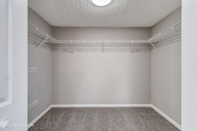5916 Redberry Ln, Jacksonville, FL 32211 - walk in closet featuring carpet flooring
