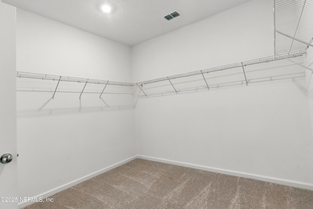 9053 Whinny Way, Jacksonville, FL 32219 - spacious closet featuring carpet flooring