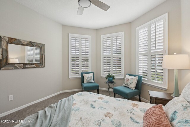 102 Havencrest Ave, Ponte Vedra, FL 32081 - photo 23