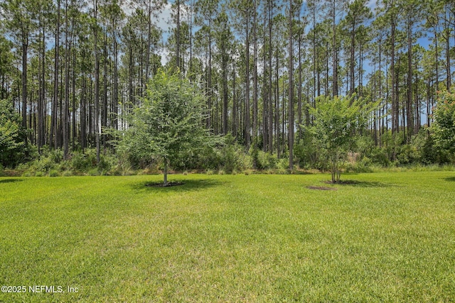102 Havencrest Ave, Ponte Vedra, FL 32081 - photo 4