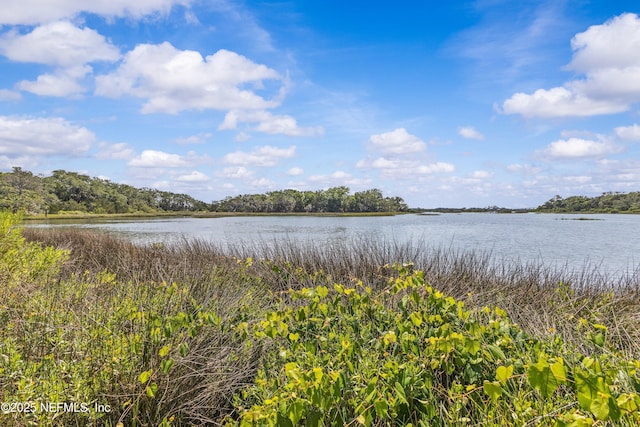 1255 Ponce Island Dr Unit F-779, Saint Augustine, FL 32084 - water view