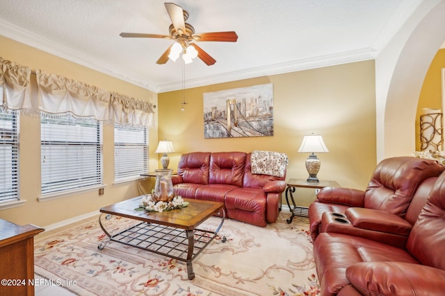 5346 Brighton Park Ln, Jacksonville, FL 32210 - living area with a ceiling fan, arched walkways, baseboards, and ornamental molding