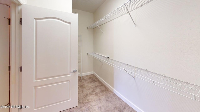 4480 Deerwood Lake Pkwy Unit 633, Jacksonville, FL 32216 - spacious closet with light colored carpet