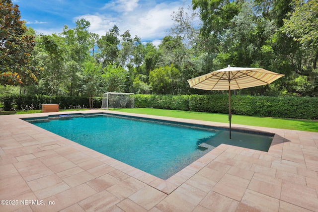 104 Hickory Hill Dr, Saint Augustine, FL 32095 - view of pool with a patio area and view of wooded area