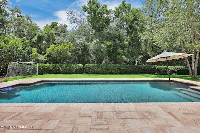 104 Hickory Hill Dr, Saint Augustine, FL 32095 - view of pool