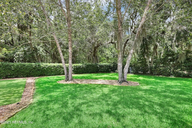 104 Hickory Hill Dr, Saint Augustine, FL 32095 - view of yard