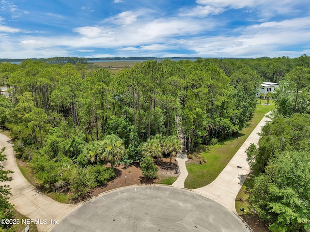104 Hickory Hill Dr, Saint Augustine, FL 32095 - drone / aerial view of a heavily wooded area