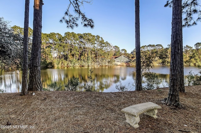 1743 Azalea St, Fernandina Beach, FL 32034 - water view