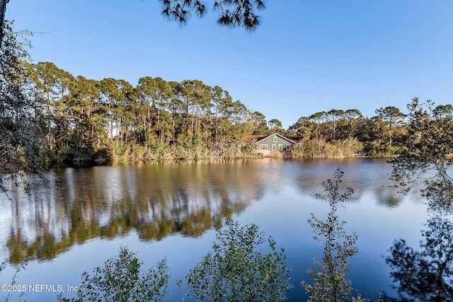 1743 Azalea St, Fernandina Beach, FL 32034 - water view with a heavily wooded area