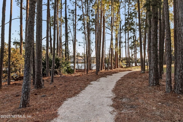 1743 Azalea St, Fernandina Beach, FL 32034 - view of surrounding community