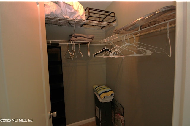 58 Islander Cir, Saint Augustine, FL 32080 - view of walk in closet