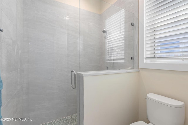 125 5th St, Saint Augustine, FL 32080 - bathroom with a shower stall and toilet