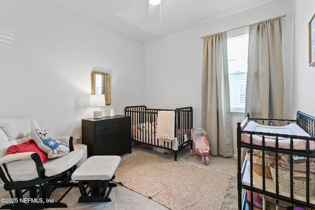 1305 Panther Lk Parkway, Jacksonville, FL 32221 - view of carpeted bedroom