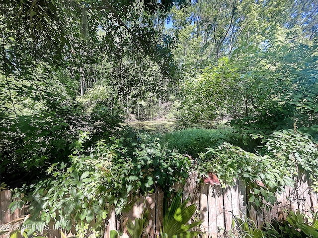 624 Staffordshire Dr, Jacksonville, FL 32225 - view of local wilderness
