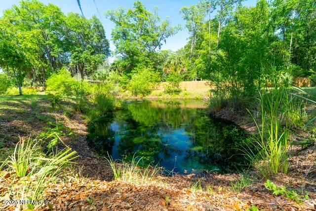 1701 Jones Rd, Jacksonville, FL 32220 - photo 36