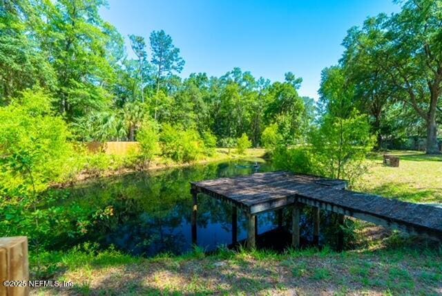 1701 Jones Rd, Jacksonville, FL 32220 - photo 41