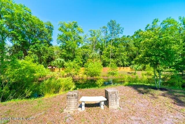 1701 Jones Rd, Jacksonville, FL 32220 - photo 40