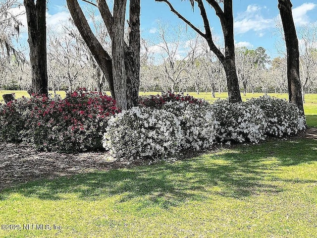 11317 NW 199th Ave, Alachua, FL 32615 - photo 8