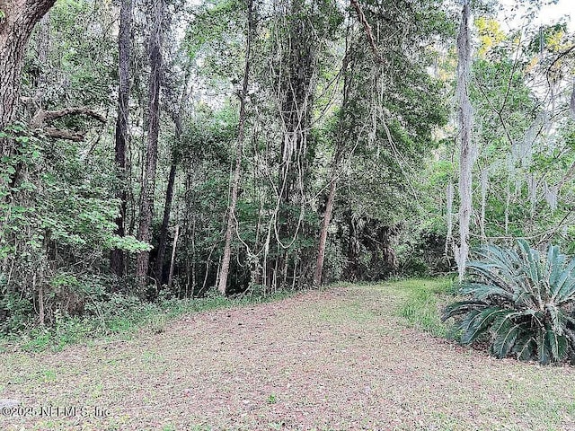 11317 NW 199th Ave, Alachua, FL 32615 - photo 57