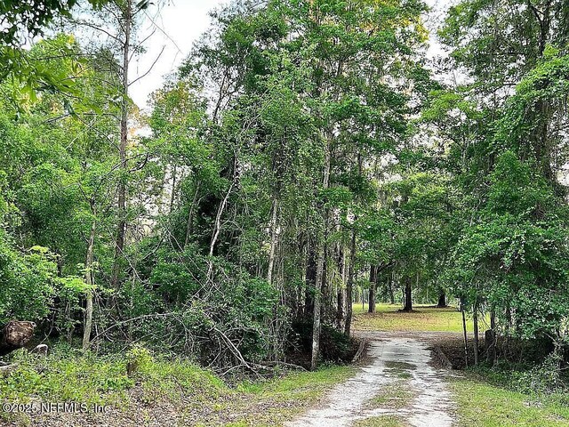 11317 NW 199th Ave, Alachua, FL 32615 - photo 64