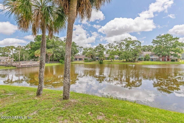 6155 Lake Tahoe Dr, Jacksonville, FL 32256 - photo 45
