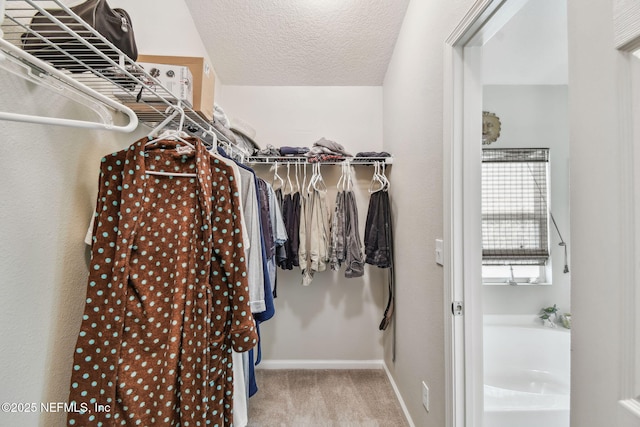 104 Twin Lakes Dr, Saint Augustine, FL 32084 - spacious closet featuring carpet floors