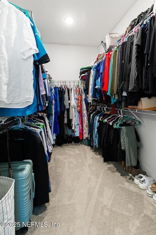 9789 Intellect Trl, Jacksonville, FL 32256 - walk in closet with carpet flooring