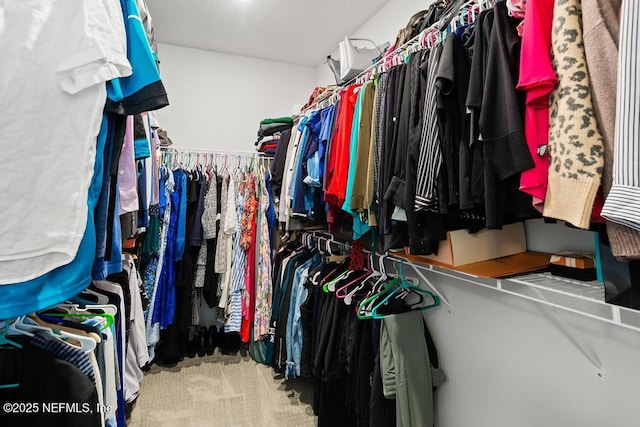 9789 Intellect Trl, Jacksonville, FL 32256 - view of spacious closet