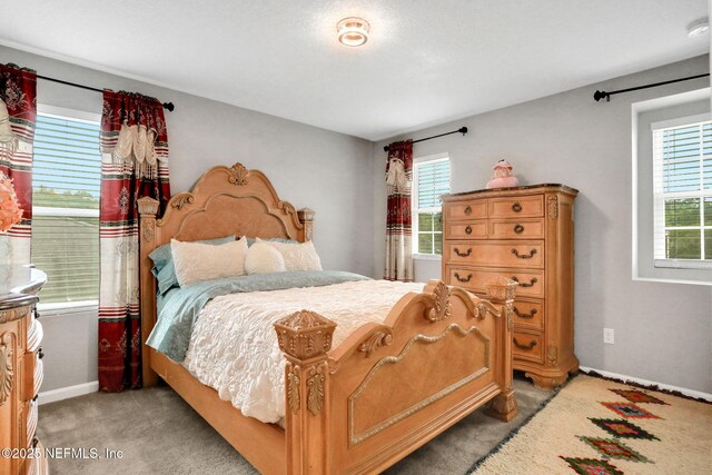12134 Alexandra Dr, Jacksonville, FL 32218 - photo 26