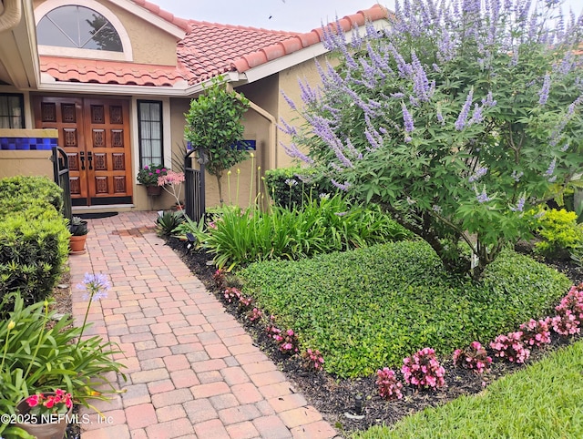 4026 Corrientes Ct E, Jacksonville, FL 32217 - entrance to property featuring stucco siding and a tile roof
