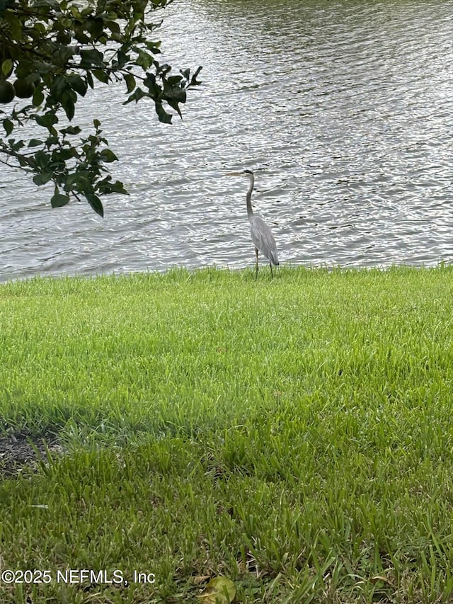 501 N Legacy Trl, Saint Augustine, FL 32092 - water view