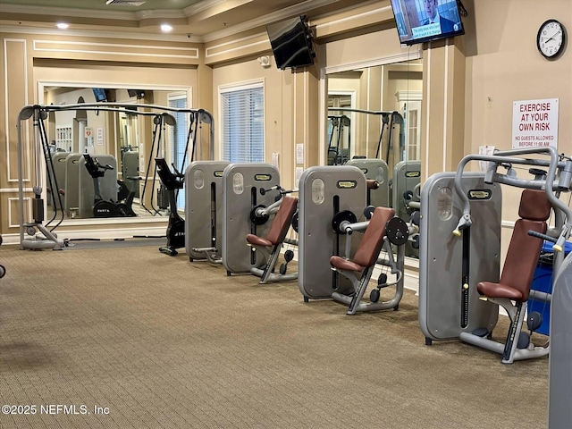 501 N Legacy Trl, Saint Augustine, FL 32092 - exercise room with ornamental molding and carpet flooring