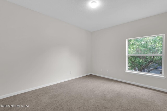 4122 Ringneck Dr, Jacksonville, FL 32226 - photo 20
