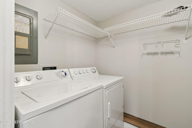 1165 Beach Walker Rd, Fernandina Beach, FL 32034 - laundry area featuring washer and clothes dryer and electric panel