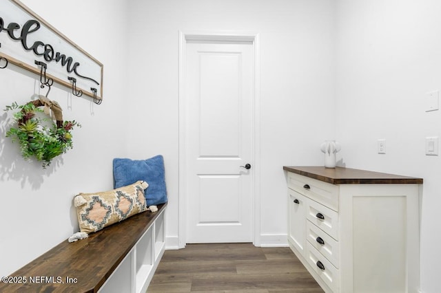 638 Windley Dr, Saint Augustine, FL 32092 - mudroom with dark wood-style flooring