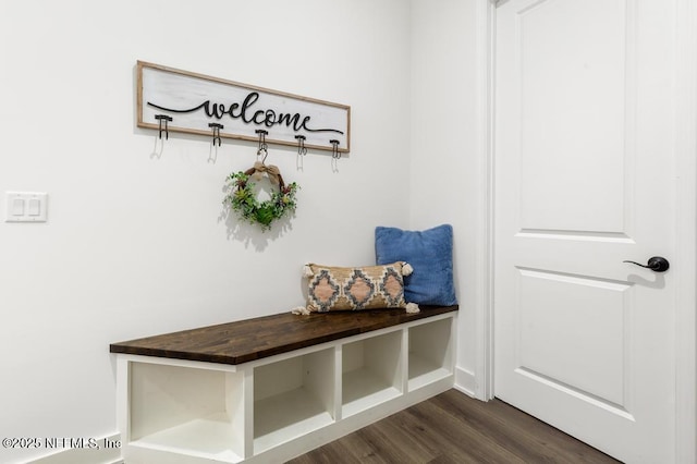 638 Windley Dr, Saint Augustine, FL 32092 - mudroom with dark wood-style flooring