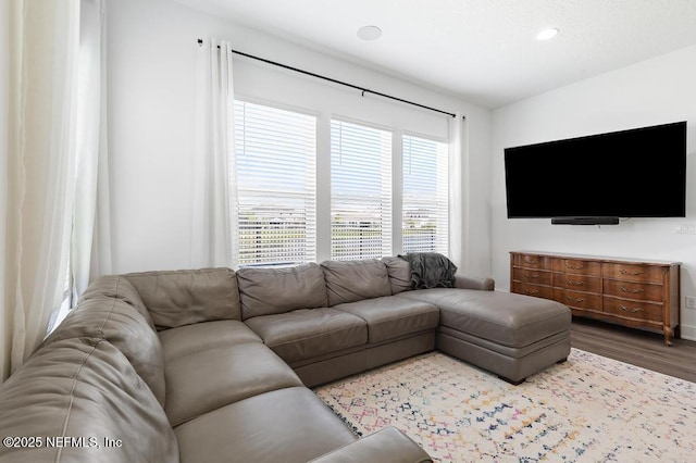 638 Windley Dr, Saint Augustine, FL 32092 - living area featuring wood finished floors and recessed lighting