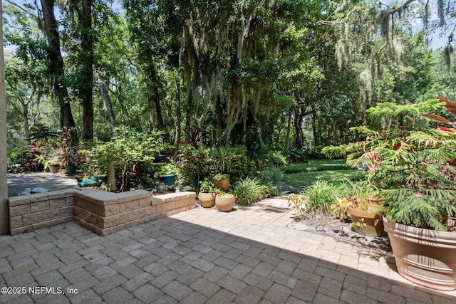 3036 Sea Marsh Rd, Fernandina Beach, FL 32034 - view of patio / terrace