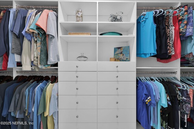 25 Carnauba Way, Jacksonville, FL 32081 - view of walk in closet