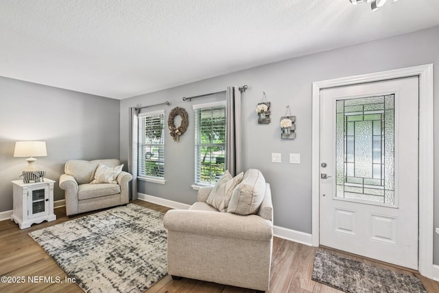 145 Thornloe Dr, Saint Johns, FL 32259 - living area featuring wood finished floors, baseboards, and a textured ceiling