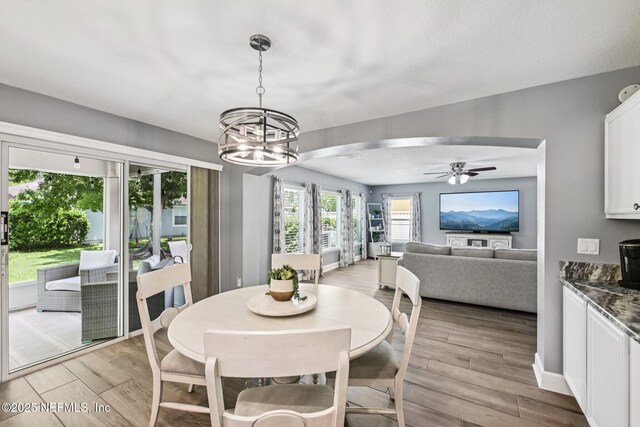 145 Thornloe Dr, Saint Johns, FL 32259 - dining room with light wood-style floors, a chandelier, a ceiling fan, and baseboards
