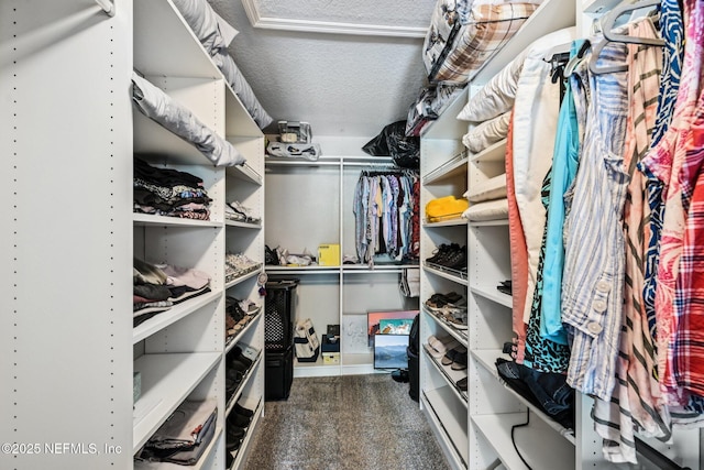 145 Thornloe Dr, Saint Johns, FL 32259 - walk in closet featuring carpet flooring