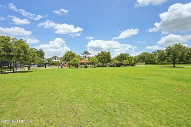 145 Thornloe Dr, Saint Johns, FL 32259 - view of home's community