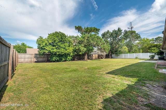147 Quarton Dr, Orange Park, FL 32073 - view of yard