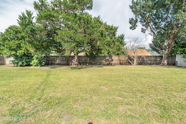 147 Quarton Dr, Orange Park, FL 32073 - view of yard