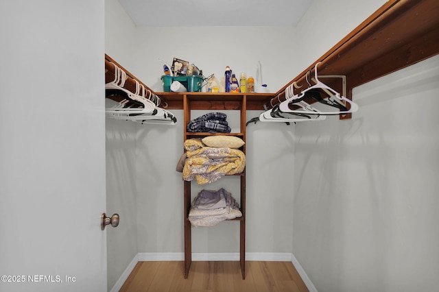 2898 Ocean Shore Blvd Unit 4020, Ormond Beach, FL 32176 - spacious closet featuring light wood finished floors