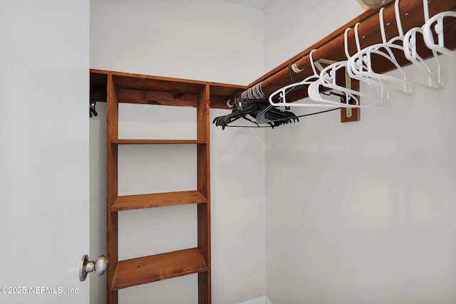 2898 Ocean Shore Blvd Unit 4020, Ormond Beach, FL 32176 - view of spacious closet